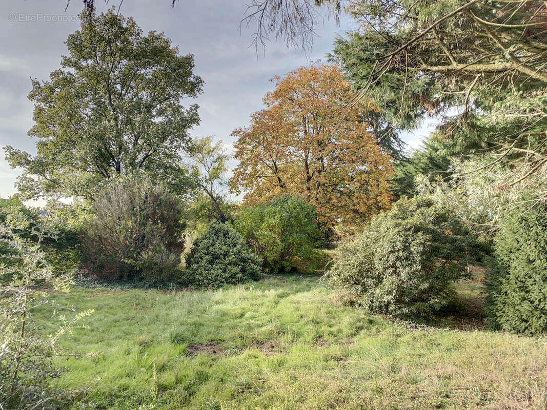 Terrain à SAVENNIERES