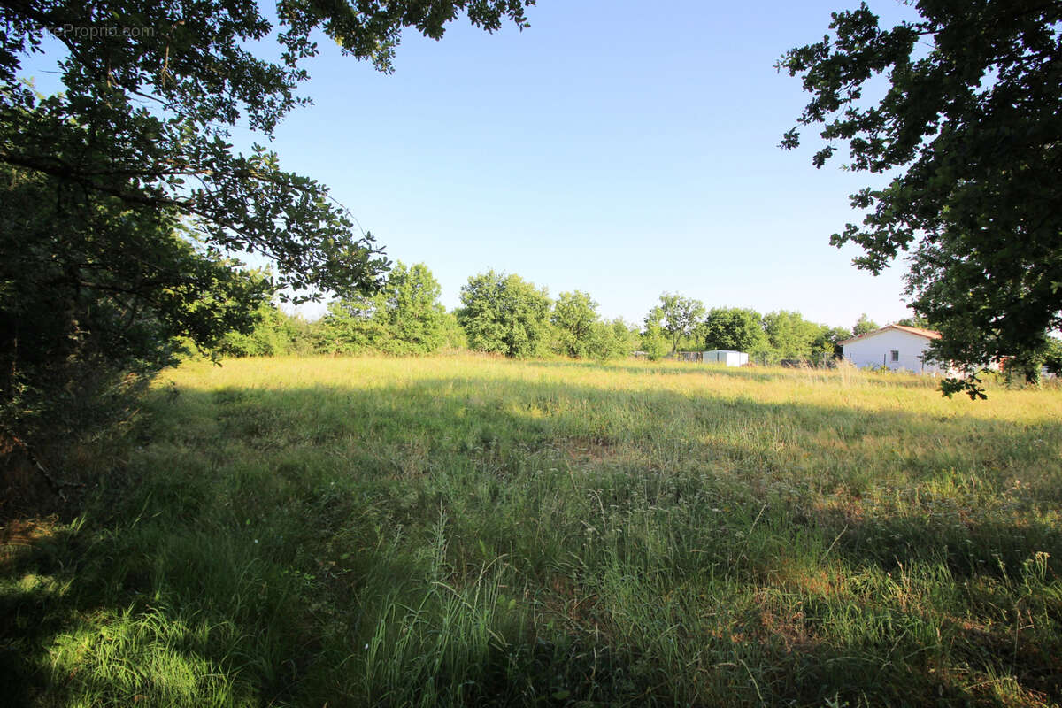 Terrain à MEAUZAC