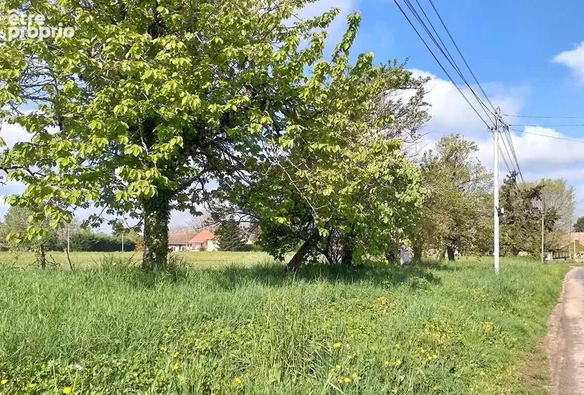 Terrain constructible avec arbres fruitiers 1147 m2 - 71620 St Maurice en Riviere - photo 2