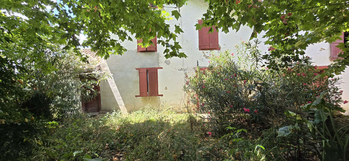 Photo 3 - Maison à SAINT-PALAIS