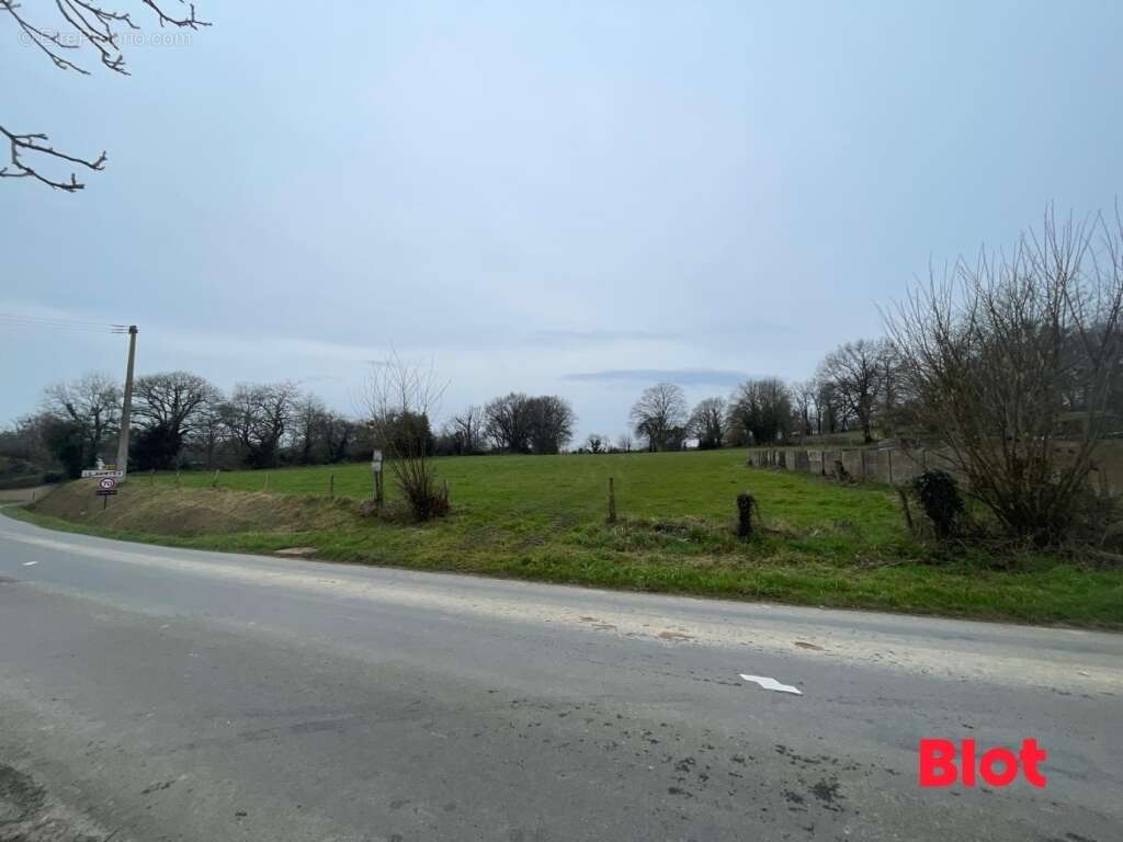 Terrain à LE PERTRE