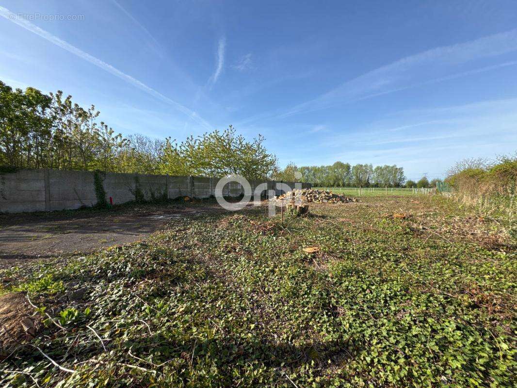 Terrain Viabilisé 790m² À Vendre - photo 3