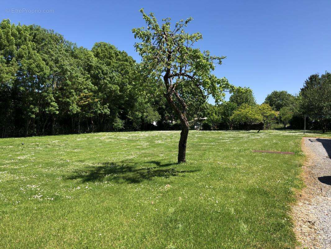 Maison à SAINT-LAURENT-DE-LA-PREE