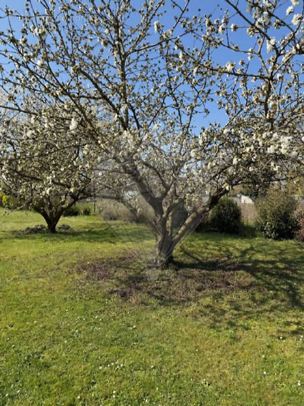 Maison à VILLEBLEVIN