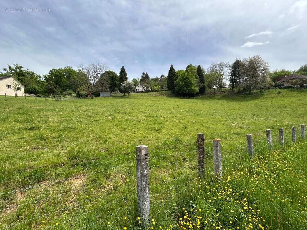 Terrain à SAINTE-FORTUNADE