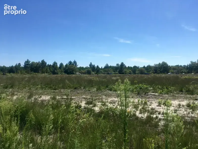 Terrain à MIOS