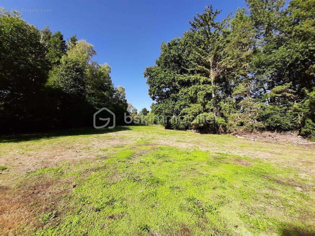 Terrain à COGNAC-LA-FORET