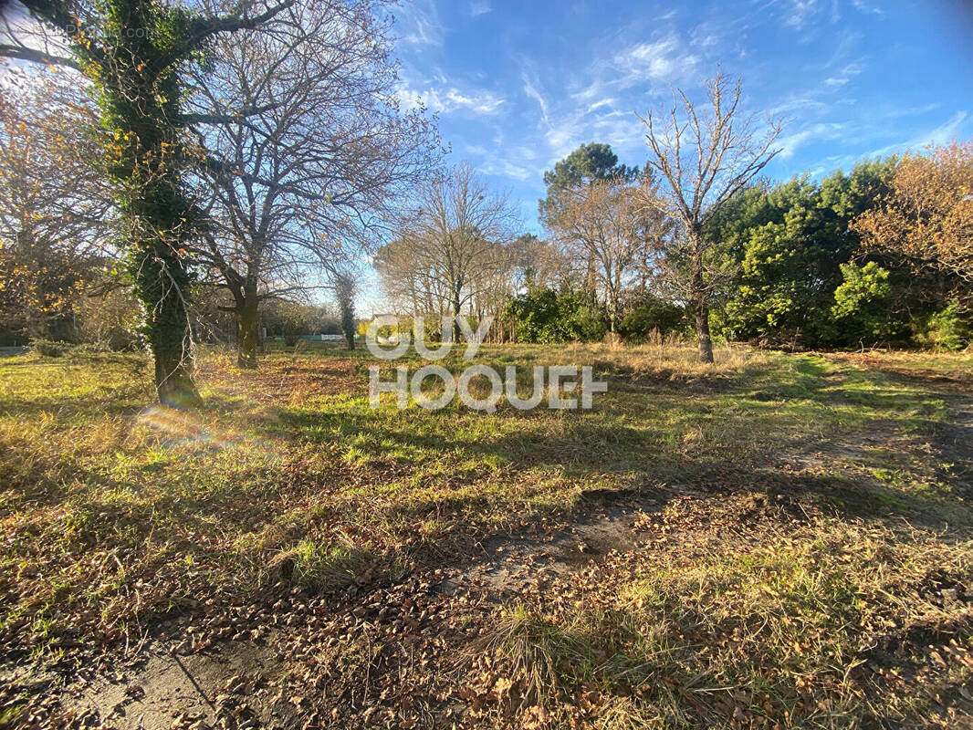Terrain à PONTENX-LES-FORGES