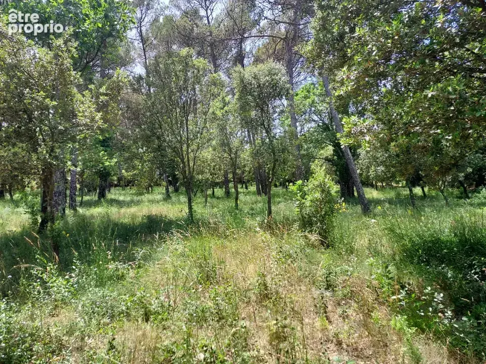 Terrain 664 m² à vendre à Gareoult (83136) - photo 3