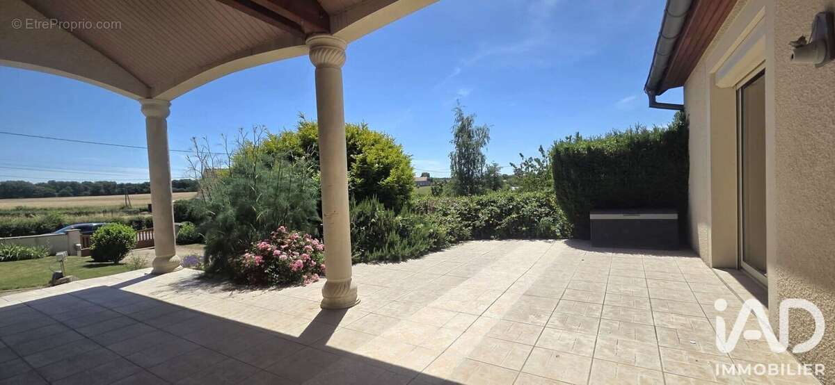 Photo 8