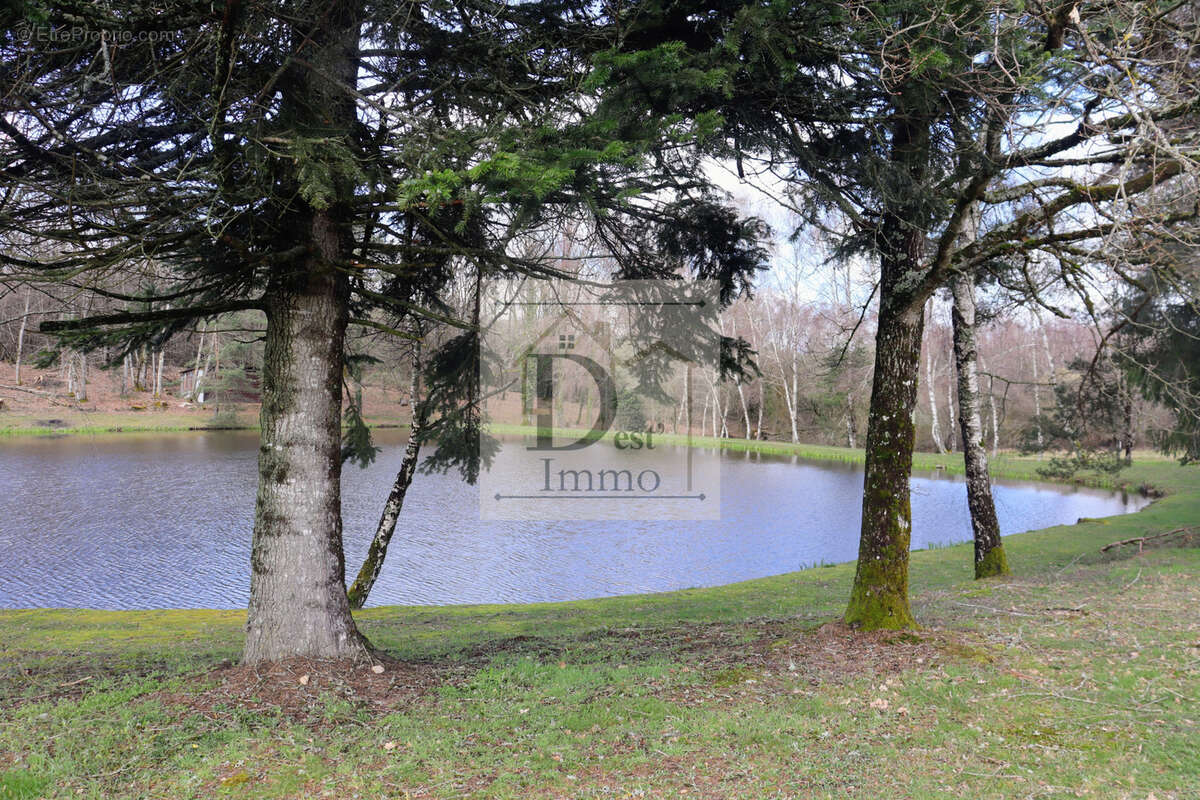Maison autonome avec gîte, étang et fort potentiel locatif   Proche Limoges - photo 4