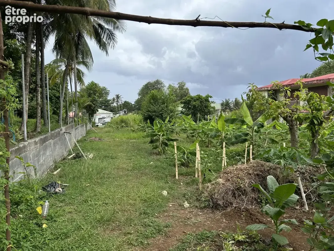 Exclusivité terrain constructible – 2 385 m² – changy, capesterre-belle-eau – guadeloupe - photo 5