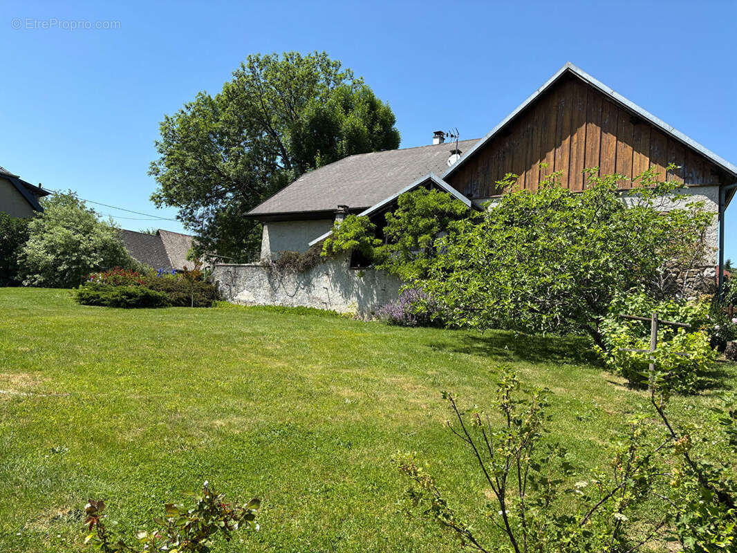 Maison à THUSY