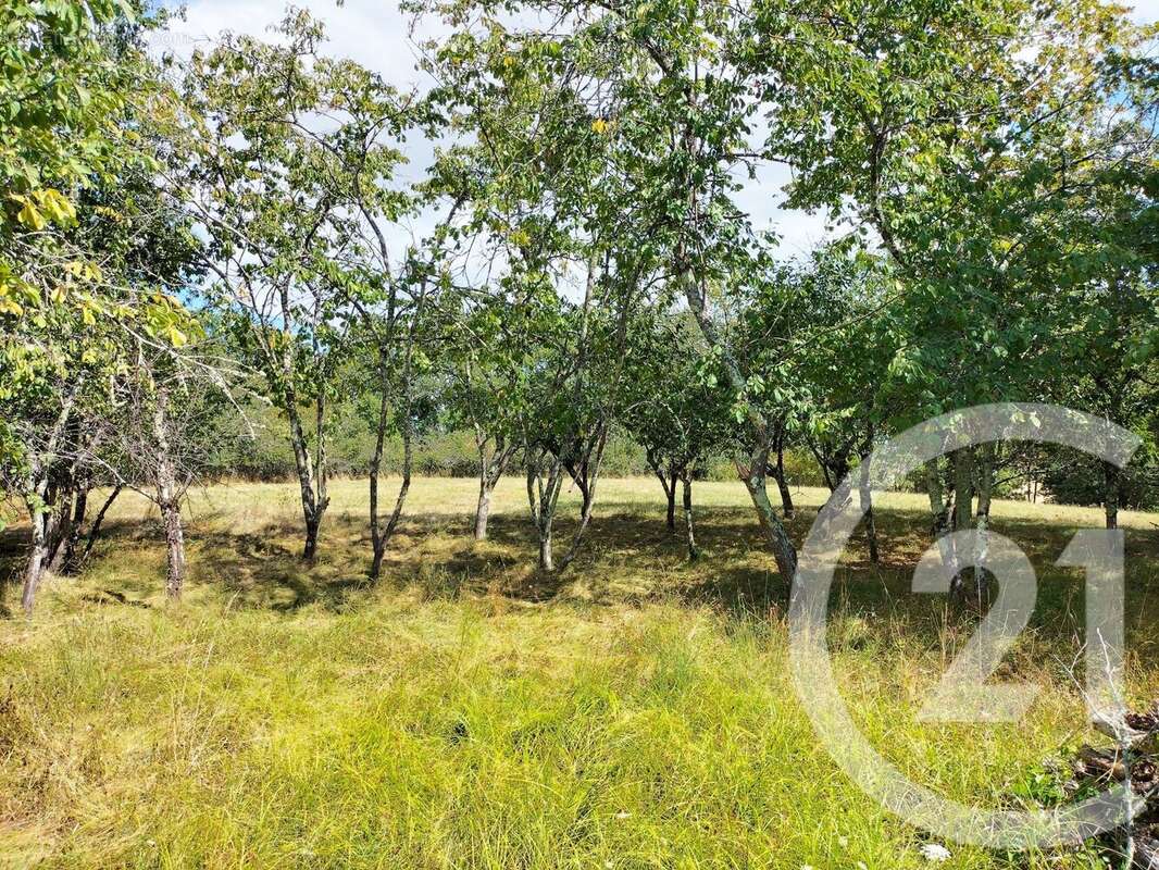 Maison 111 m² à Grazac  - photo 11