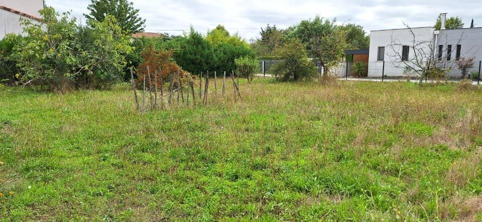 Terrain à TOURNEFEUILLE