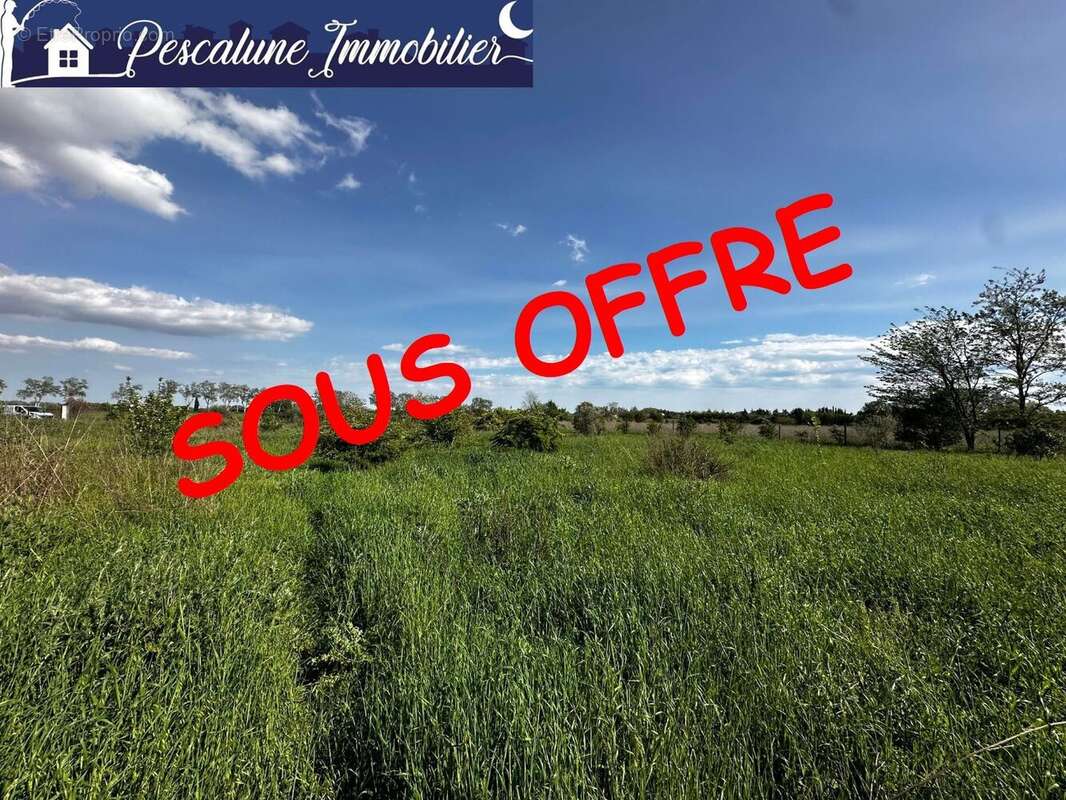 Terrain à MARSILLARGUES