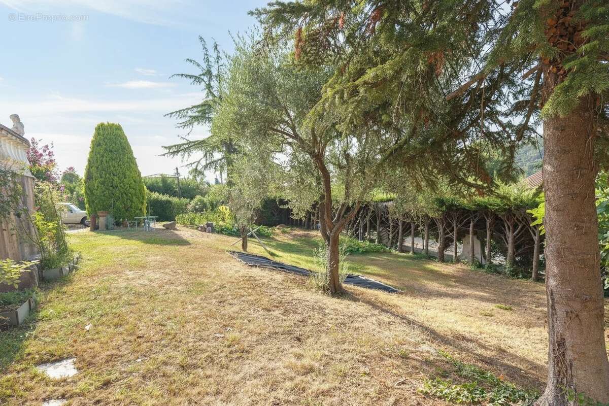 BIOT - Villa Provençale - Piscine - Calme absolu - photo 14