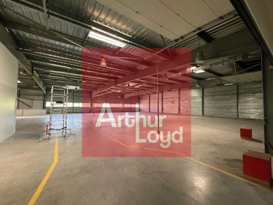 2185 m² à Saint-Etienne-De-Fougeres  - photo 6