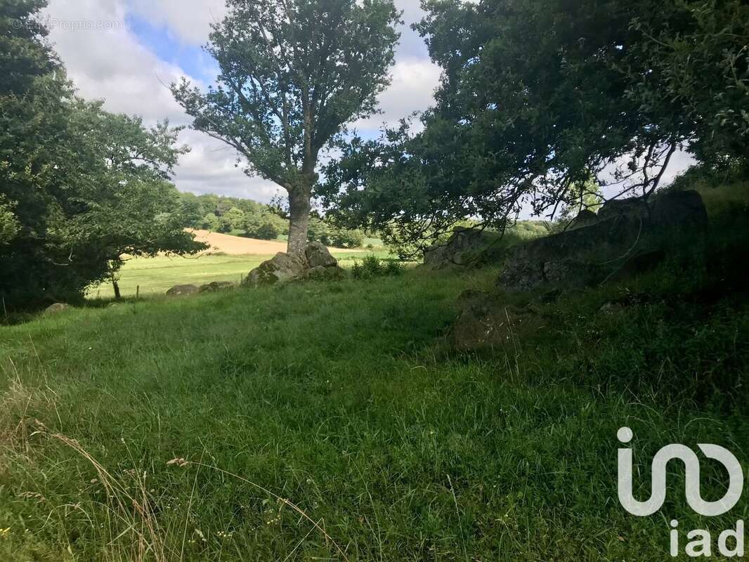 Photo 7 - Maison à LASSAY-LES-CHATEAUX