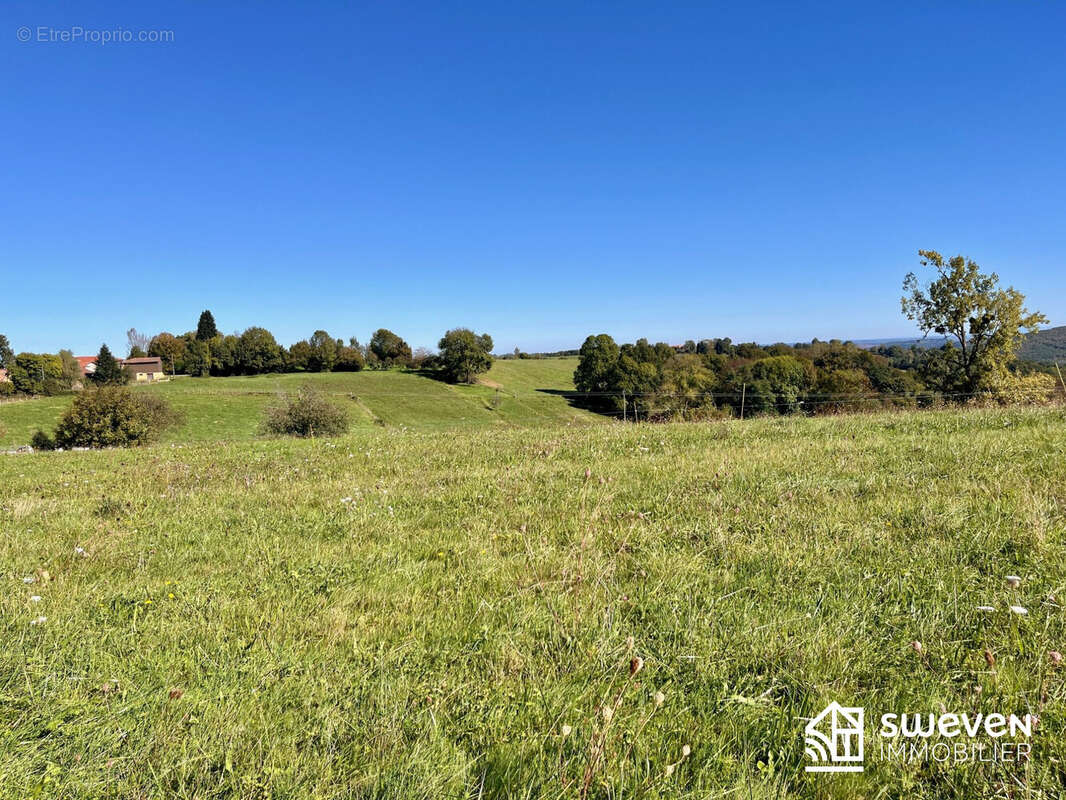 09230 Terrain constructible à Lasserre Volvestre ariégeois - Terrain à LASSERRE