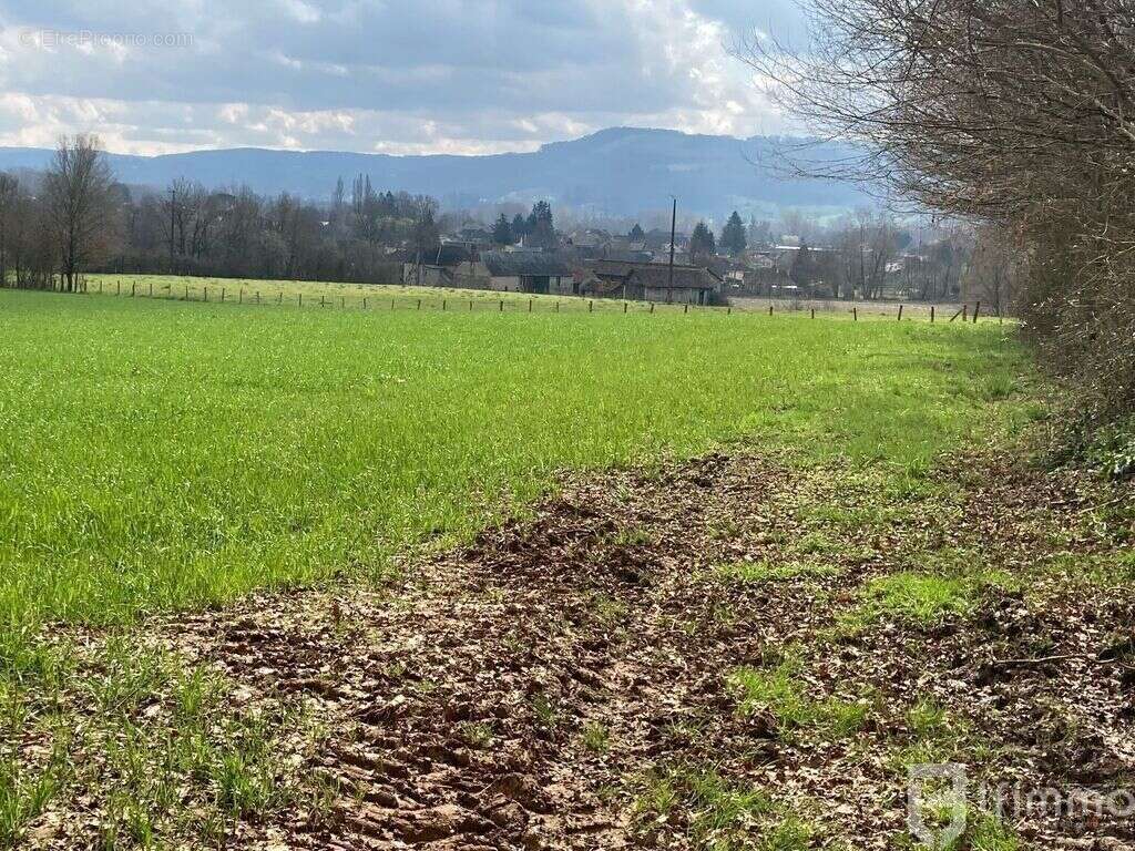 Cublac en Corrèze - Terrain à bâtir - A Basse Rivière - photo 3