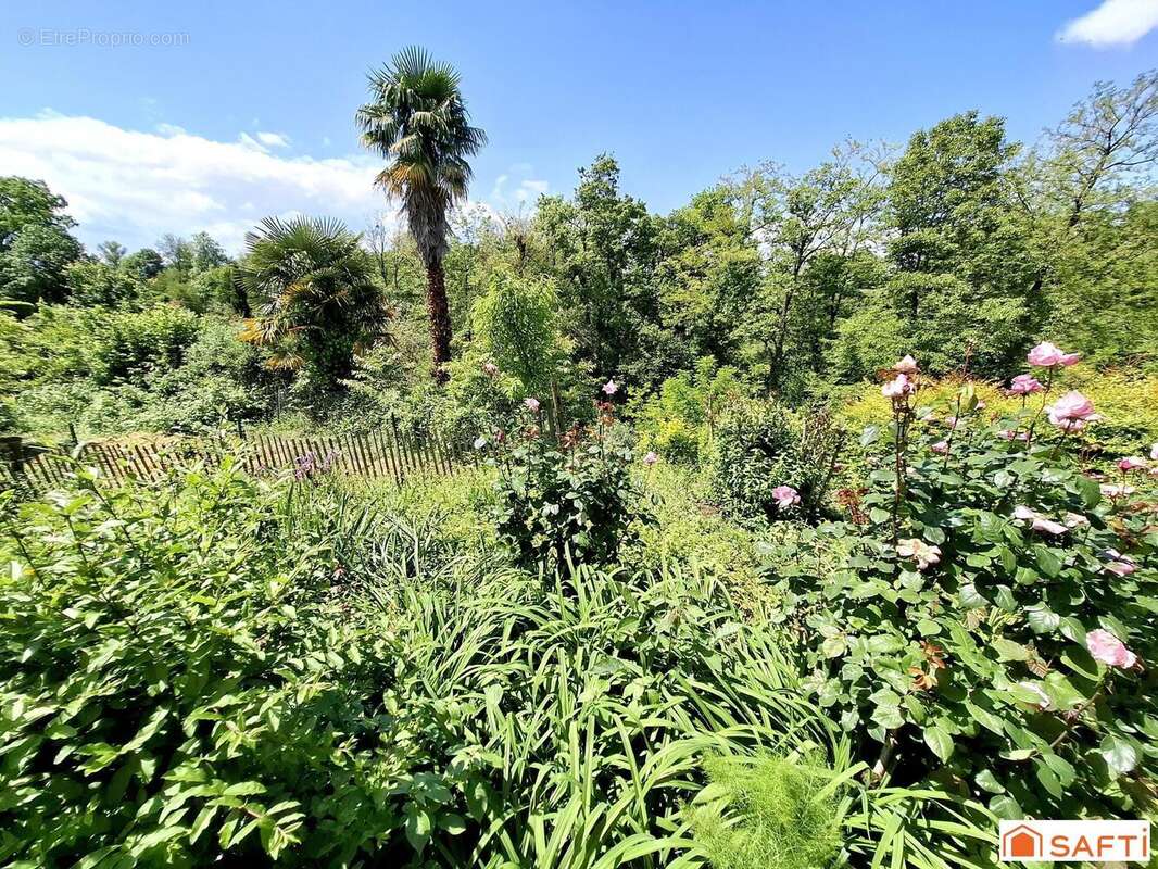 Photo 2 - Maison à NAVARRENX