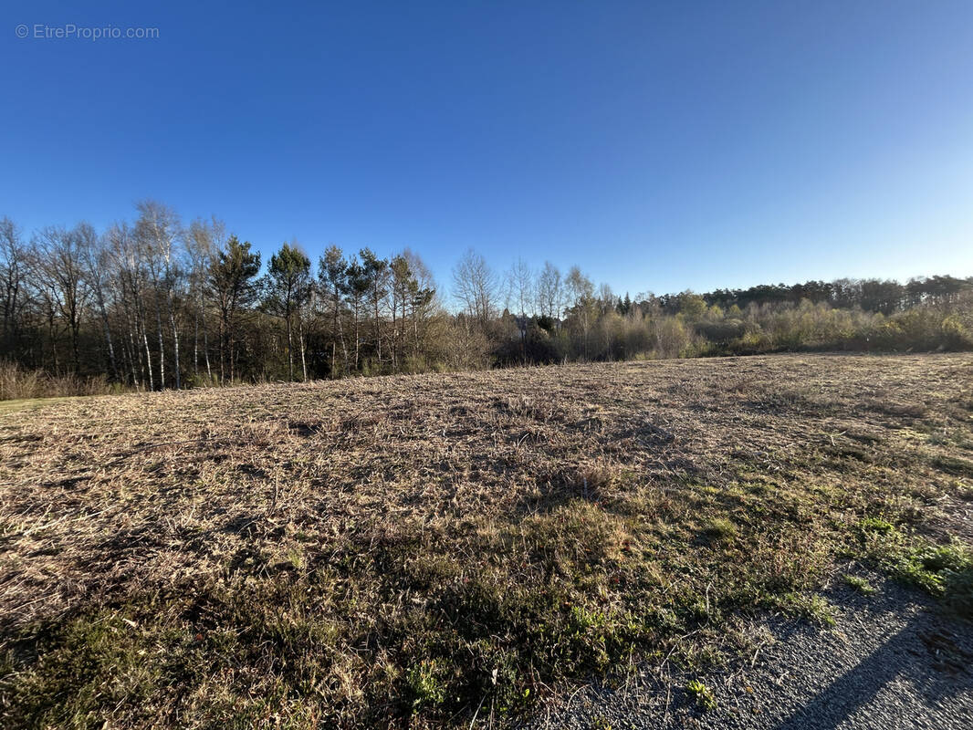 Terrain à SAINT-PRIEST-DE-GIMEL