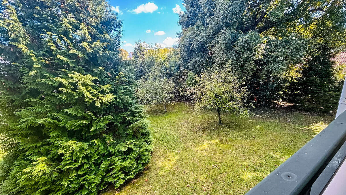 Photo 2 - Appartement à ANGLET