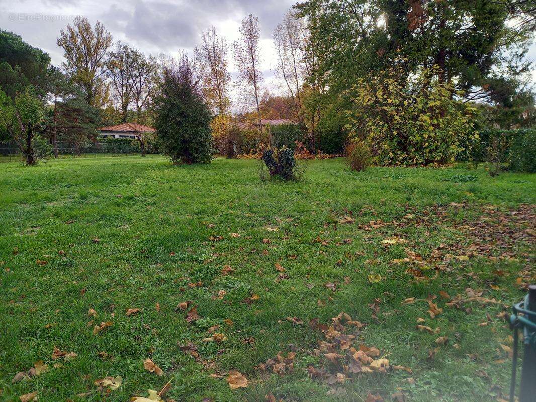 Terrain à SAINTE-EULALIE