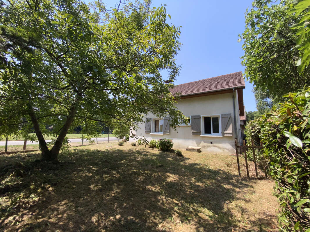 Ferme 10 hectares Monein - photo 4