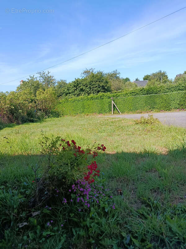 Maison à SAINT-GEORGES-DES-GROSEILLERS