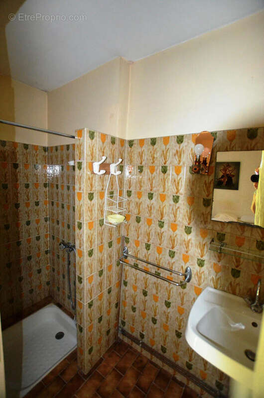 Salle d'eau Shower Room