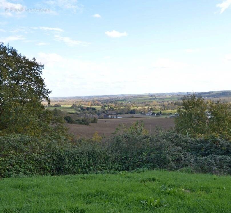 Terrain à SAVIGNAC-DE-DURAS
