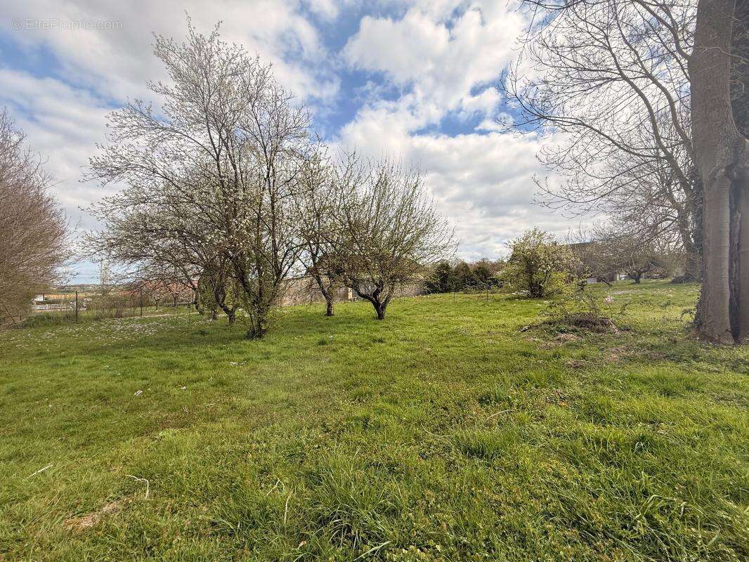 Maison à SAINT-LEGER-TRIEY