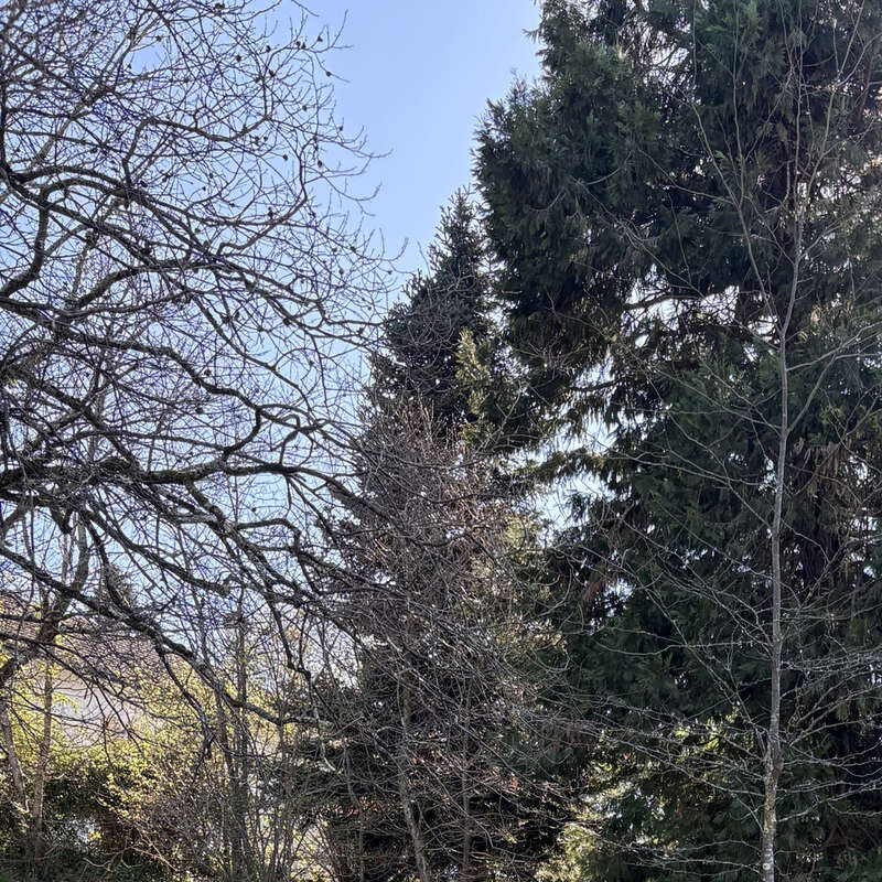 Terrain à LAA-MONDRANS