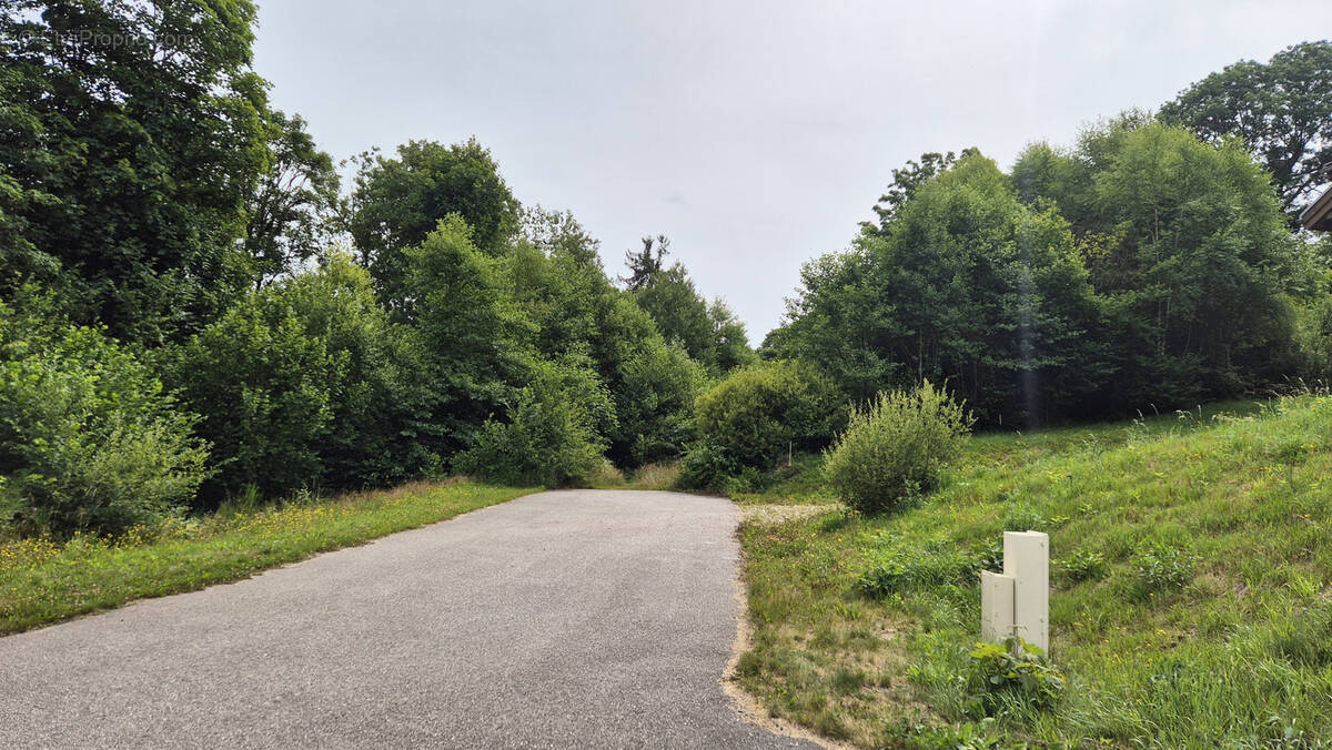 Terrain à XONRUPT-LONGEMER