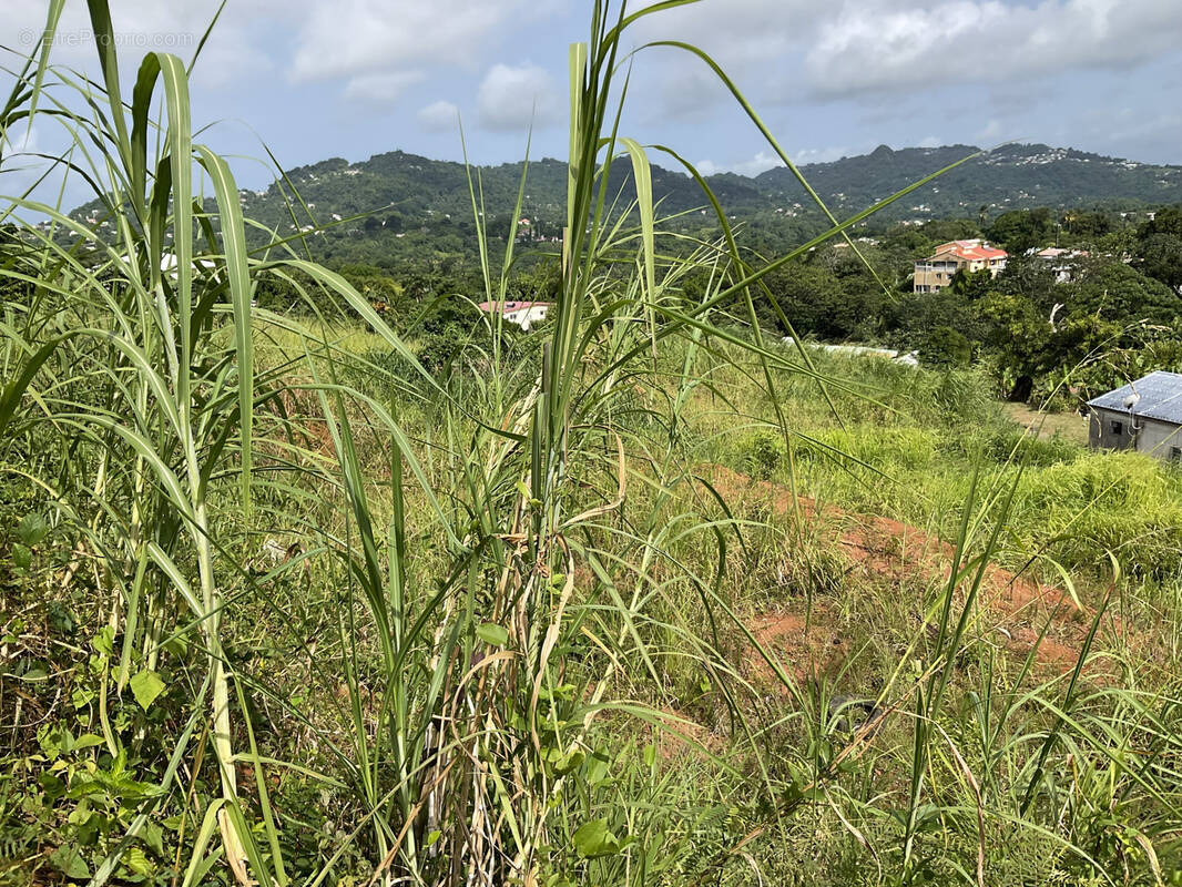 Terrain à LE ROBERT