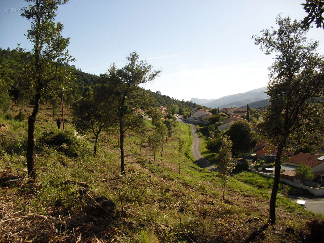 Terrain à AMELIE-LES-BAINS-PALALDA