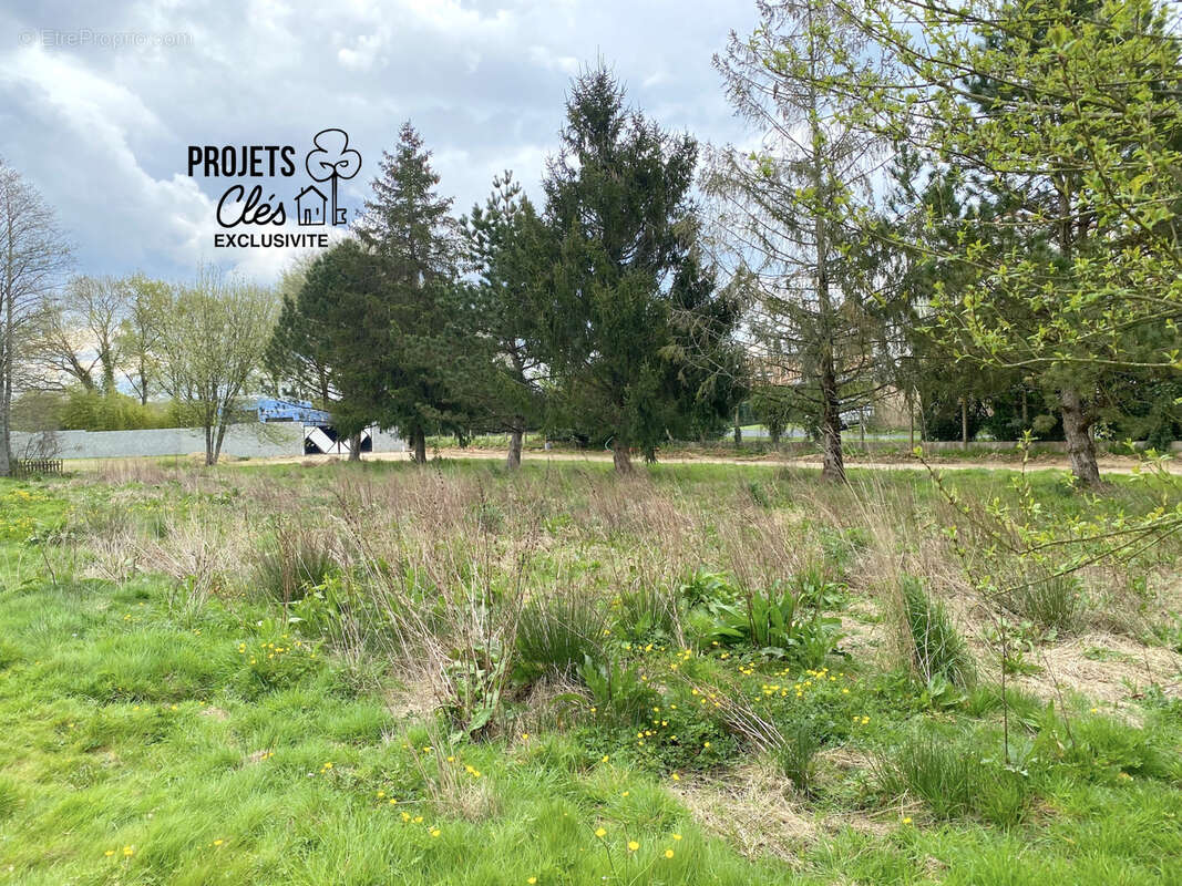 Terrain constructible de 650m2 centre-ville - photo 6