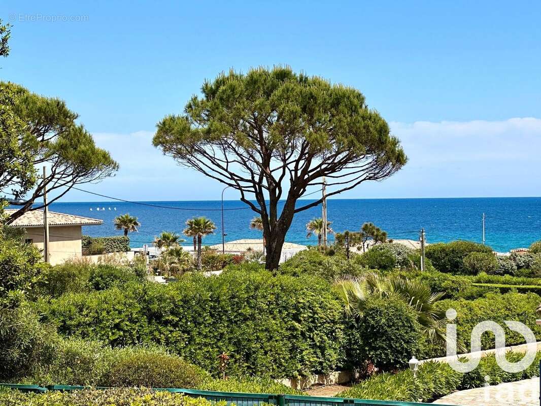 Photo 4 - Maison à SAINTE-MAXIME