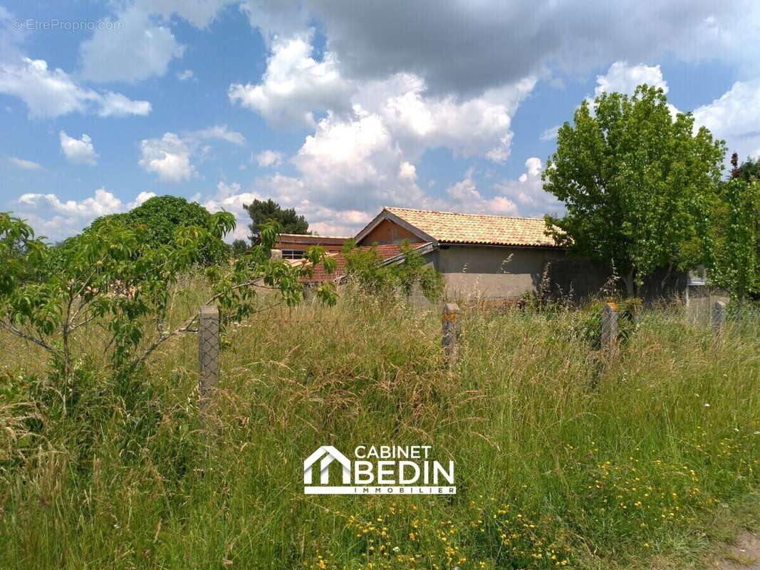 Maison 304 m² à Saint-Trojan  - photo 2