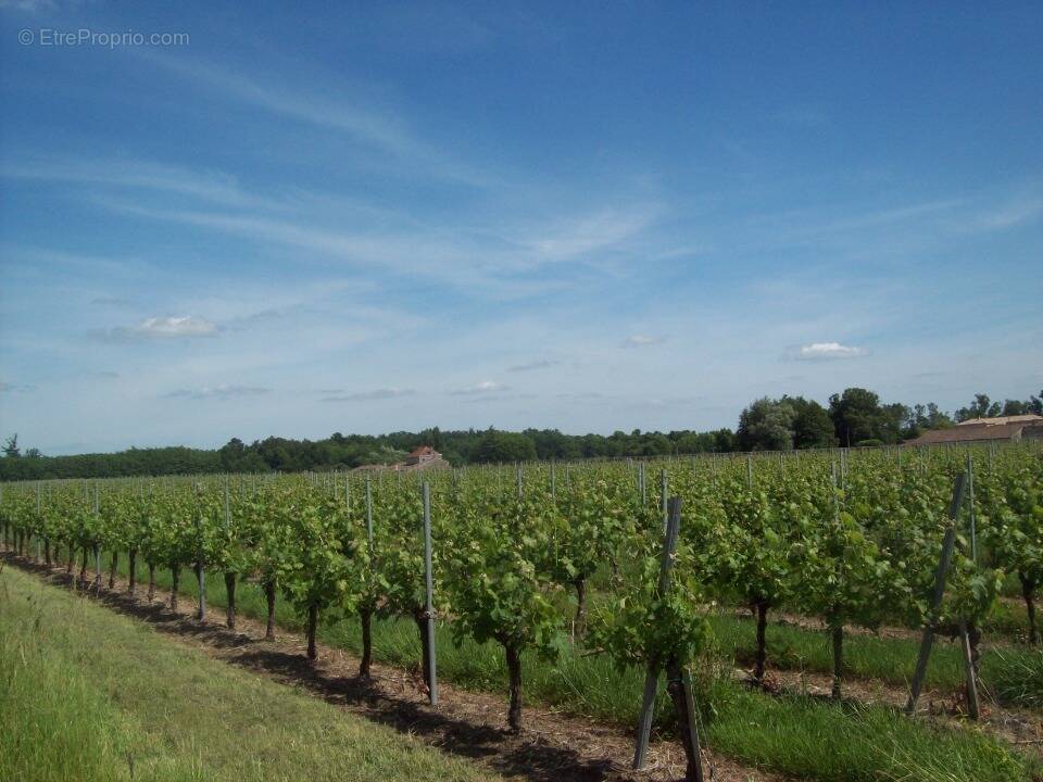 Terrain à LUGON-ET-L'ILE-DU-CARNAY