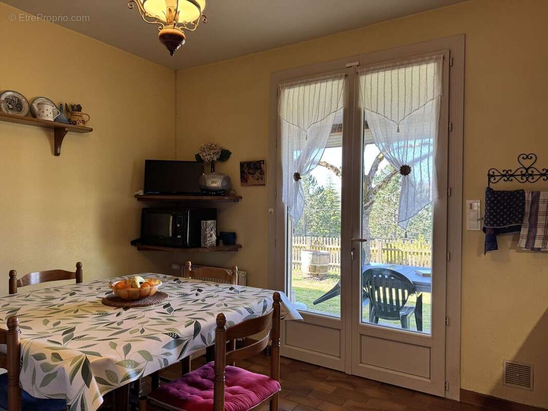 IMG2270 - Maison à SAINT-CYPRIEN