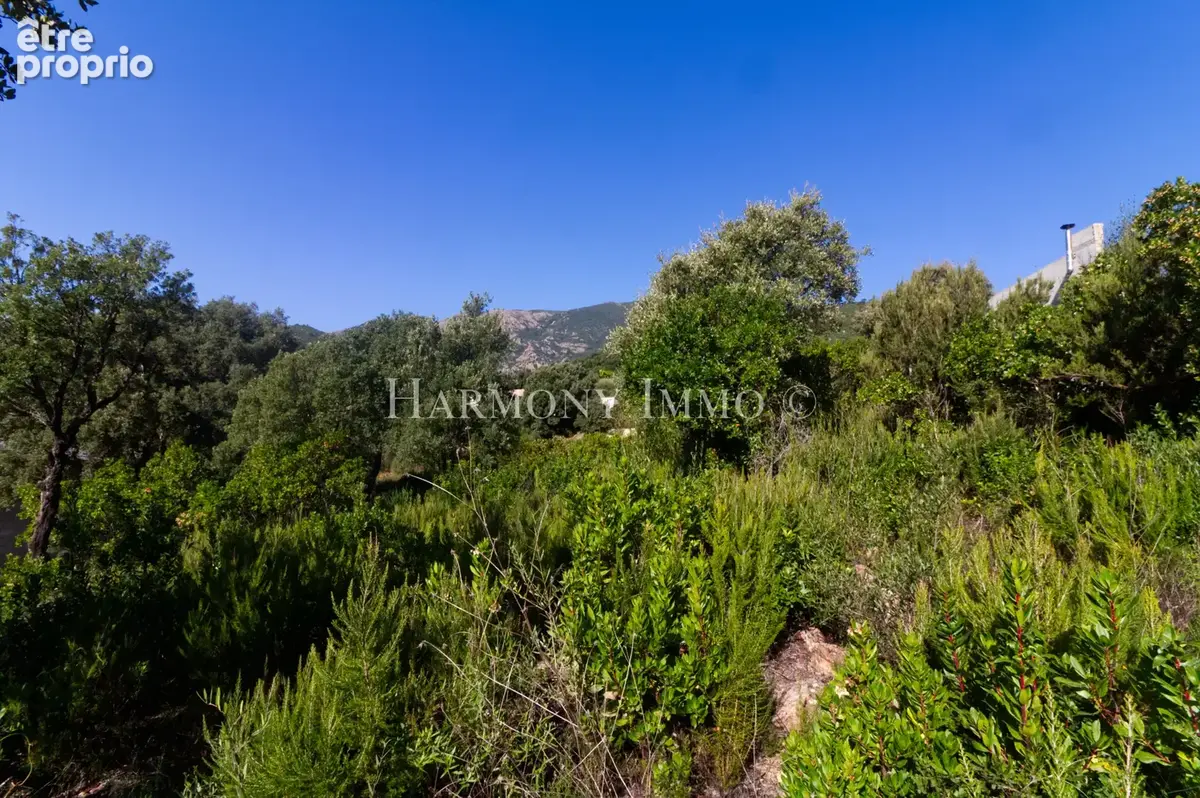 Terrain à TAVACO