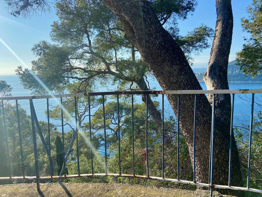 Cœur Saint-Jean Cap Ferrat magnifique projet de villa. - photo 8