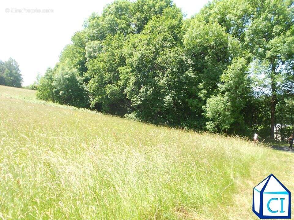 Terrain à LACROUZETTE