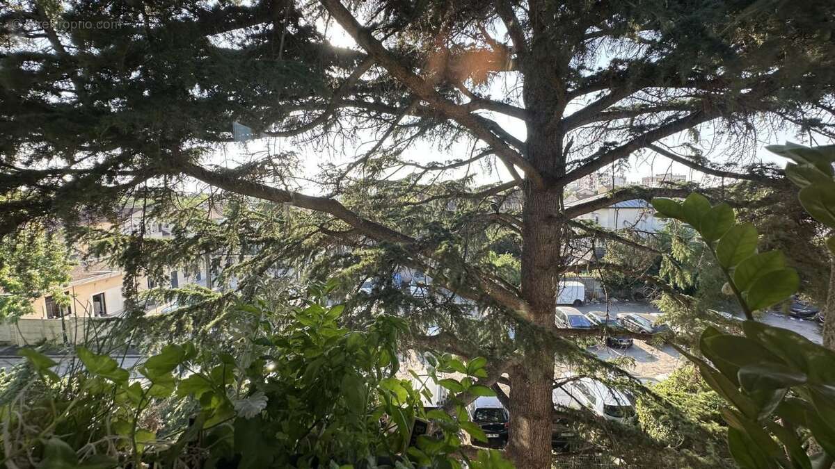 Appartement - photo 12