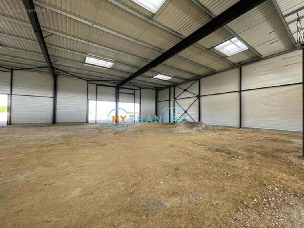 Commerce à MOISSY-CRAMAYEL