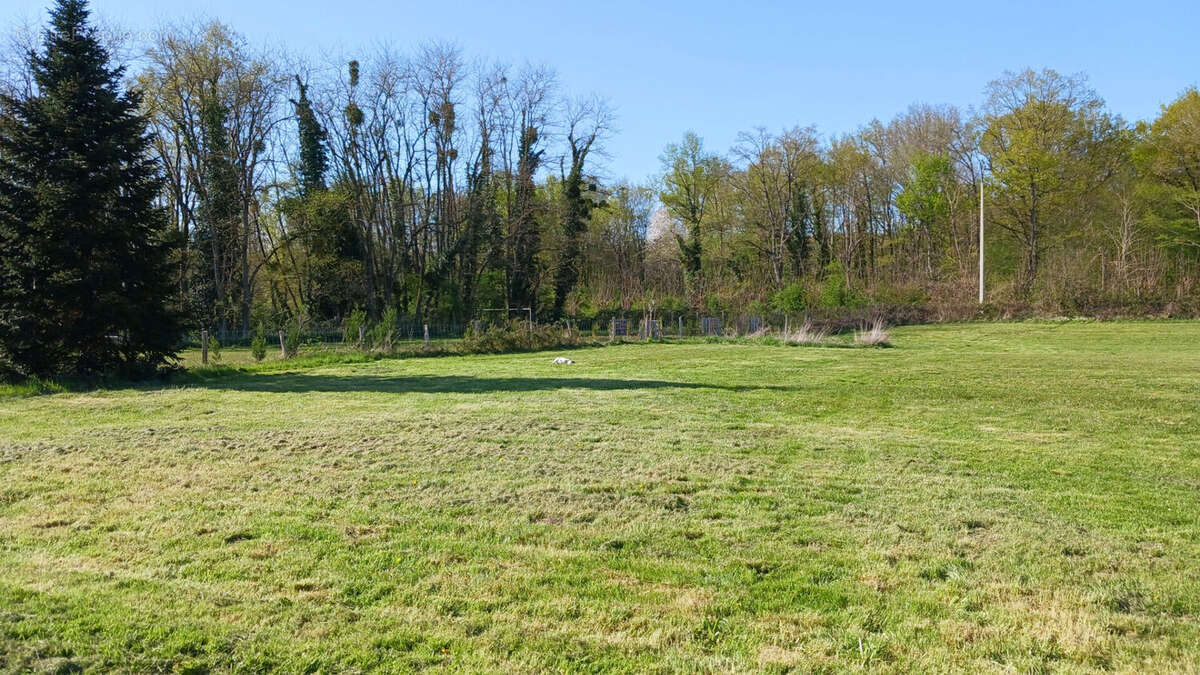 Maison à MENETOU-COUTURE