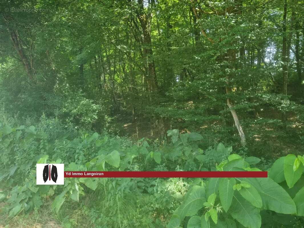 Parcelle de Bois - photo 2